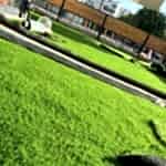 Yapay Çim Halı Uygulaması