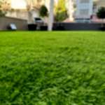 Yapay Çim Halı Uygulaması