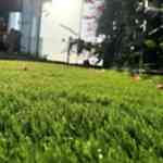 Yapay Çim Halı Uygulaması