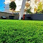 Yapay Çim Halı Uygulaması