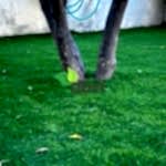 Yapay Çim Halı Uygulama Örnekleri