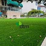 Yapay Çim Halı Uygulama Örnekleri