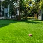 Yapay Çim Halı Uygulama Örnekleri